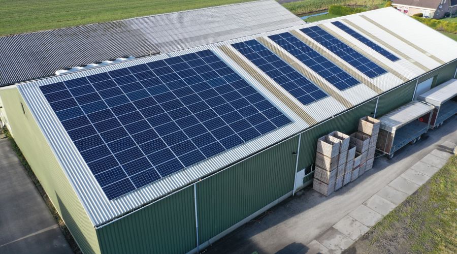 Zöld út, zöld energia - Napelem támogatás cégeknek